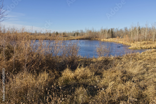 Pylypow on a Sunny Autumn Day