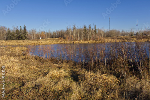 Pylypow on a Sunny Autumn Day