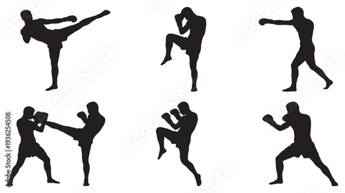 Silhouettes of martial arts fighters performing various combat techniques and poses.