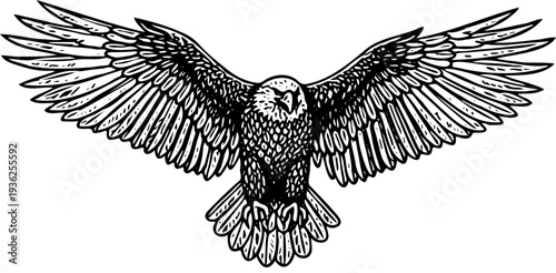 A majestic eagle in flight, soaring through the air with outstretched wings, illustration, bird's-eye view