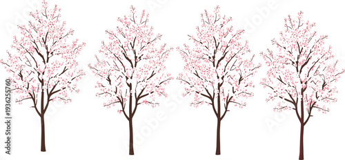 Cherry Blossom Trees Collection with Pink Spring Flowers Blooming on Branches Elegant Sakura Tree Vector Illustration Set for Nature, Landscape, and Seasonal Design