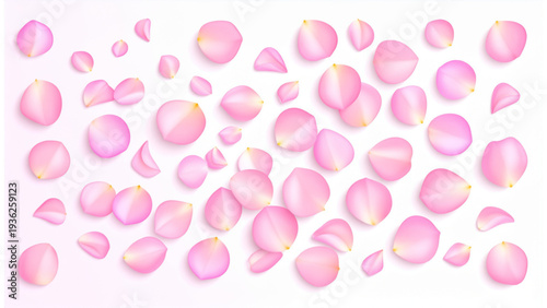 Romantic rose petals scattered composition top view vector illustration.
