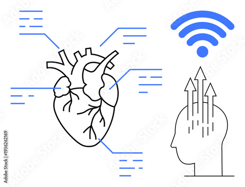 Connectivity concept. Connectivity with a human heart diagram, wireless signal, and head silhouette with data arrows. Connectivity linking human biology and technology. For tech, healthcare