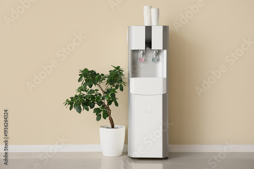 Houseplant and modern water...