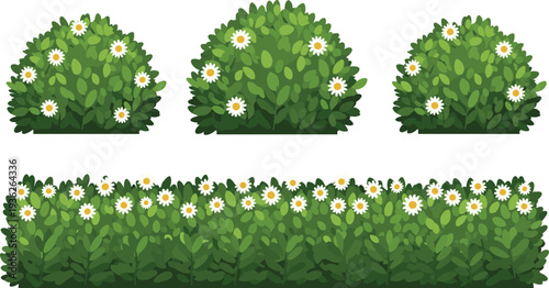Flowering Garden Hedge and Bush Collection Featuring Four Green Decorative Shrubs with White Daisies for Landscaping Design