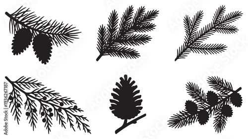 Collection of six black silhouette illustrations of pine branches with cones and needles.