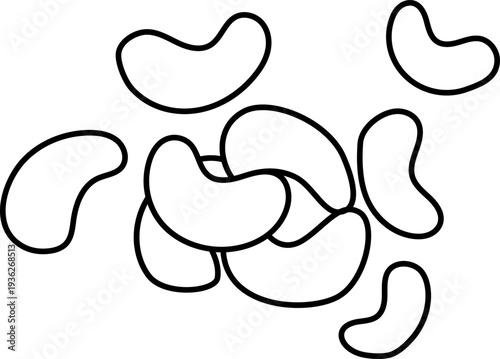 Cashew Nuts for Baking, Cooking, and Snacking