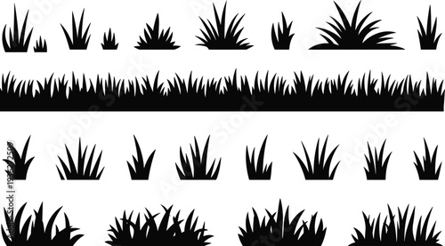 PrintSet of black grass silhouettes, wild meadow plants and field weed borders isolated on white background for nature design,