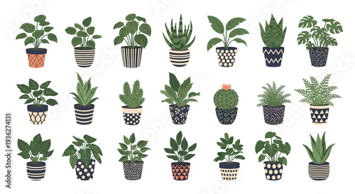 Large collection of diverse indoor houseplants in decorative pots including succulents, ferns, and cacti in a flat vector illustration style.