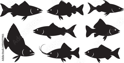 Black silhouette collection of five seafood animals on a white background, minimal outline