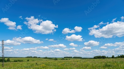 Serene Green Field with Cloudy Sky.