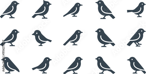 Collection of Fifteen Stylized Bird Silhouettes in Various Poses birds icon