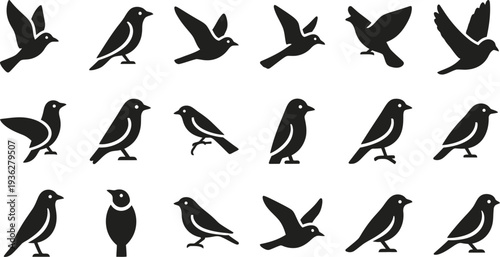 Diverse Collection of Black Bird Silhouettes in Various Poses birds flying