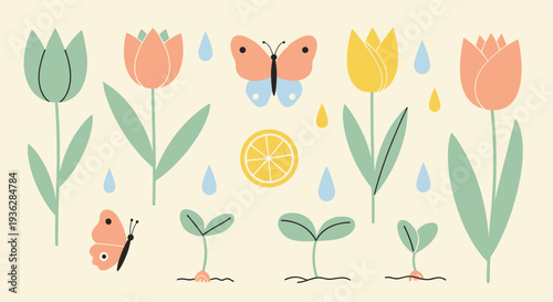 Spring garden illustration with tulips sprouts butterflies and lemon slices on a light background