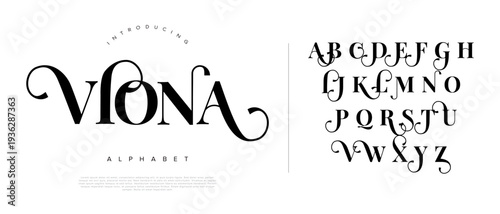 Viona beautiful calligraphy script font with decorative swash for romantic wedding invitation and feminine logo design