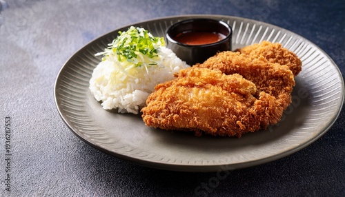 crispy katsu chicken with sauce rice and cabbage
