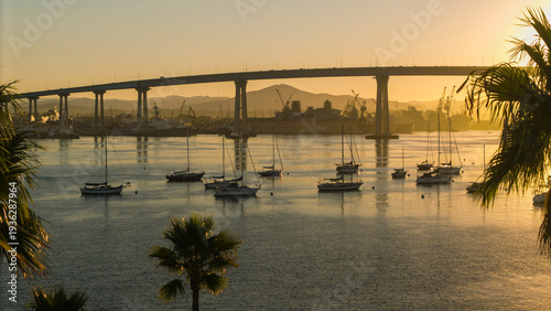 Photos Silhouetted palm trees and Coronado Bridge at sunrise