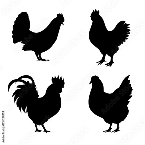 Chicken silhouette collection with different standing poses perfect for farm logos, agriculture graphics and poultry illustrations.