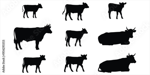 Assortment of Black Cow Silhouettes in Various Poses on White Background cows cattle