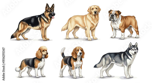 Diverse Group of Six Popular Dog Breeds Standing Together in a Studio Setting