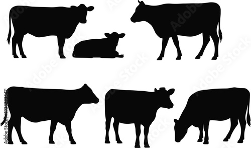 Black Silhouette Farm Animals Including Cows And Calf On White Background cattle