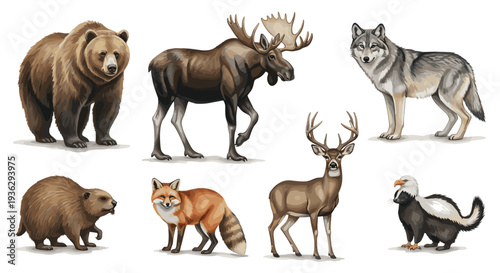 Collection of North American Wildlife Animals Including Bear Moose Wolf Deer Fox Beaver Eagle and Skunk Standing Together