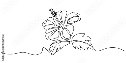 Continuous one line drawing of Hibiscus Flower, Hibiscus flower in one line art drawing style. Black line sketch on white background. Vector illustration, Hibiscus flower in one continuous line draw