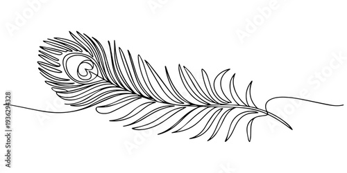 peacock feather continuous one line drawing, Continuous one line drawing of exotic peacock feather. Peacock feather single line vector illustration. Editable line vector, Beautiful peacock feather