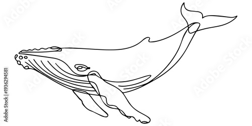 whale continuous one line drawing, Whale tail drawing by one continuous line, blue whale drawing by one continuous line, Print Continuous one line drawing of orca whale. One line drawing illustration