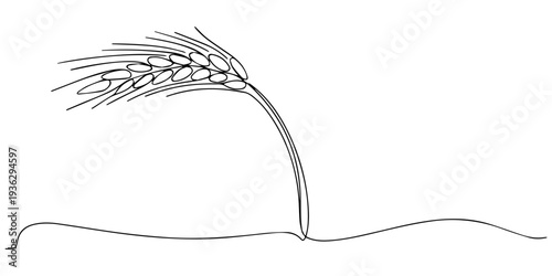 Ears of wheat one continuous line drawing, Continuous one thin smooth line simple minimalistic drawing of a wheat stalk on a white background, Continuous one line drawing of wheat. Barley