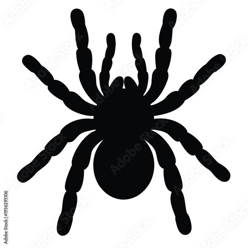 Creepy Silhouette of an Eight Legged Spider Crawling Across the Screen