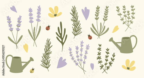 Charming Garden Elements Collection Featuring Lavender Plants Watering Cans Ladybugs and Blossoms on a Creamy Background
