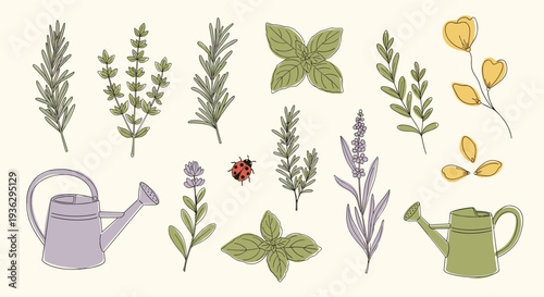 Charming Hand Drawn Botanical Illustrations Featuring Herbs Watering Cans and a Ladybug on a Creamy Background