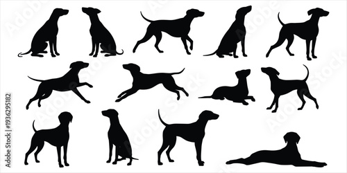 Collection of Dog Silhouettes in Various Poses and Breeds on White Background dogs canine