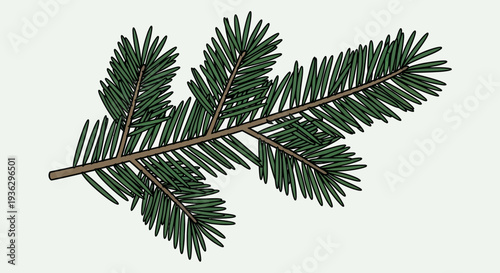 Pine tree branch with green needles.