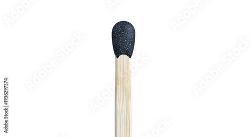 Close-up of a single black-headed matchstick