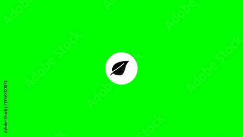 Compass navigation icon animation on green screen background