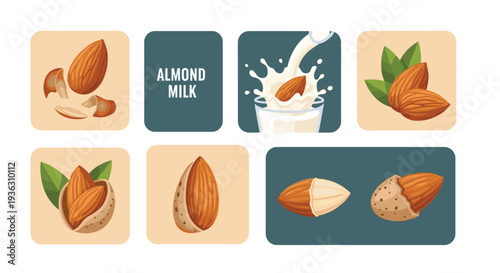Collection of almond milk and nut illustrations showing almonds splashing into milk and various shelled nuts for healthy dairy free food.