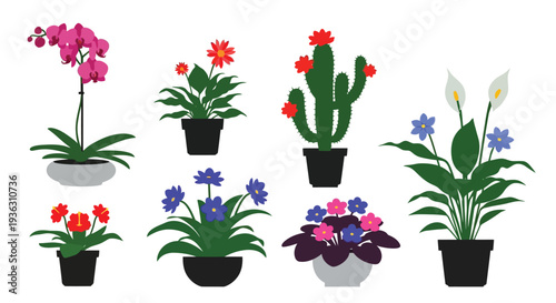Variety of potted plants including orchids cactus and calla lilies