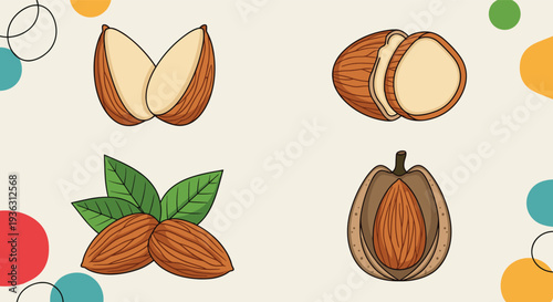 Almond variety illustrations showing whole nuts, sliced pieces, and nuts in shells with green leaves on the side.