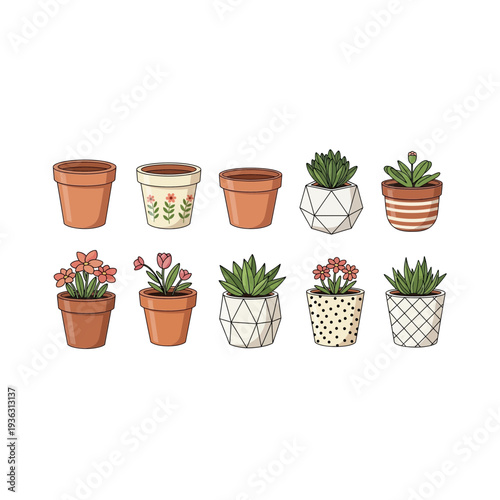 A collection of potted plants and empty pots