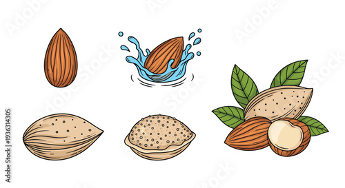 Collection of hand drawn almond nut icons featuring whole kernels shells leaves and splashes of milk isolated on a plain white background.