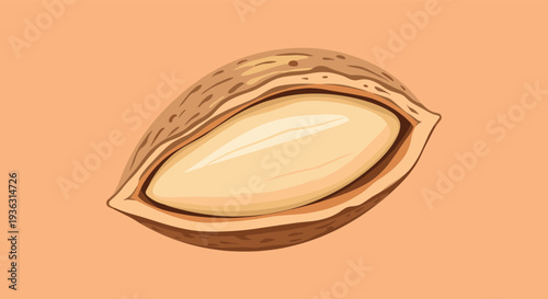 Realistic illustration of a single almond nut partially exposed in its cracked brown shell on a solid warm orange background.
