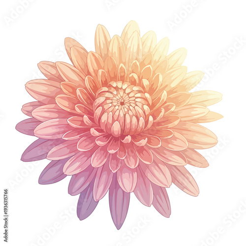 Beautiful Soft Pink and Peach Floral Illustration for Nature and Botanical Themes
