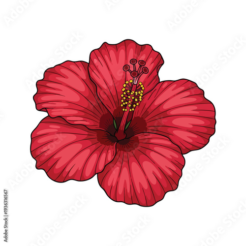 Beautiful Red Hibiscus Flower Blooming in Bright Natural Light