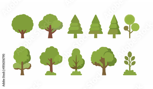 Simple modern cartoon tree collection flat vector forest plants set isolated on white background