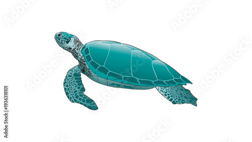 Majestic Green Sea Turtle Swimming Illustration