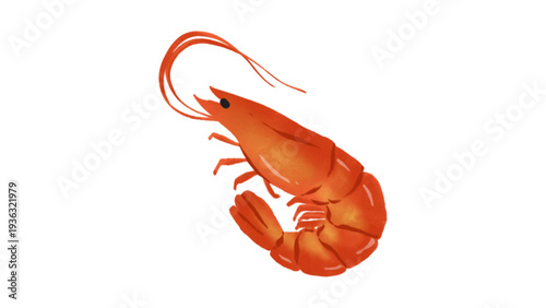 Fresh Red Shrimp or Prawn Seafood Illustration