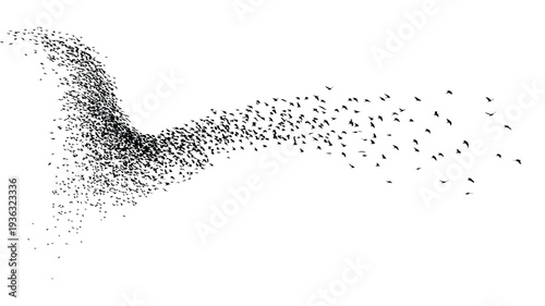 Birds form a mesmerizing flock in the sky with a stunning murmur pattern