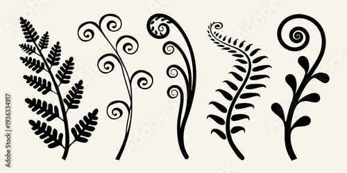 Elegant black silhouettes of various fern fronds and leafy stems